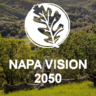 Napa Vision 2050